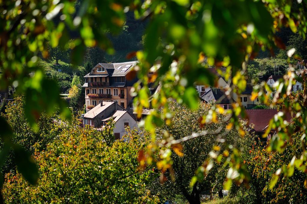 Le Clos Des Sources Hotel & Spa Thannenkirch Exterior photo